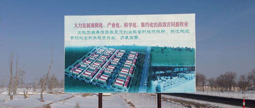 A sign board shows tidy rows of buildings and the cattle inside one of them.