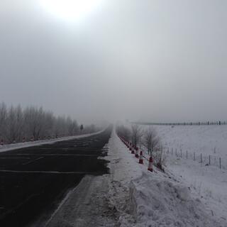 A long highway bordered by trees and snow. The horizon is obscured with mist.
