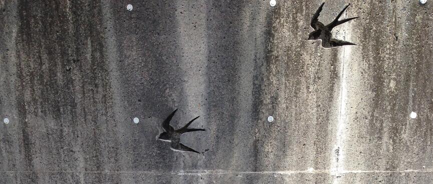 My bike leans against a wall engraved with birds.