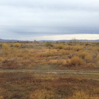 Brown grass and shrubs, and low mountains in the distance.