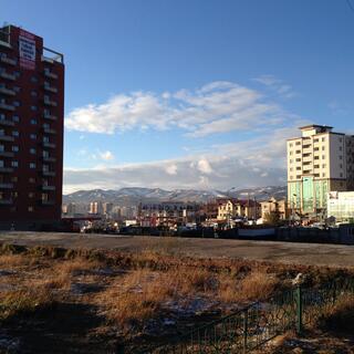 Empty grassed sections opposite intensive housing.