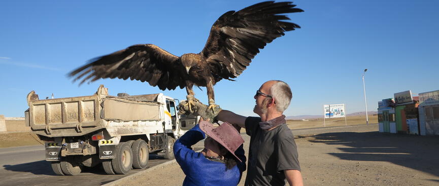 The eagle extends its wings to take flight.