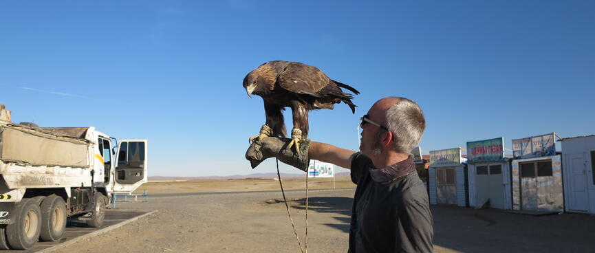 I look at the eagle perching on my forearm.