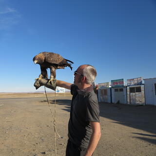 I look at the eagle perching on my forearm.