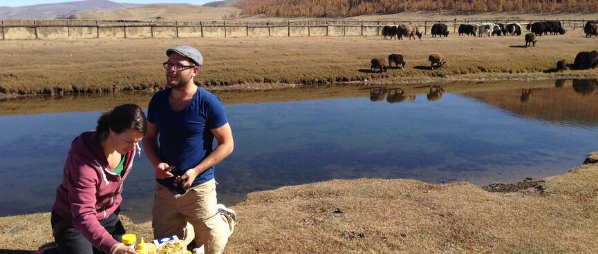 A man and woman prepare a picnic next to a river and grazing cattle.