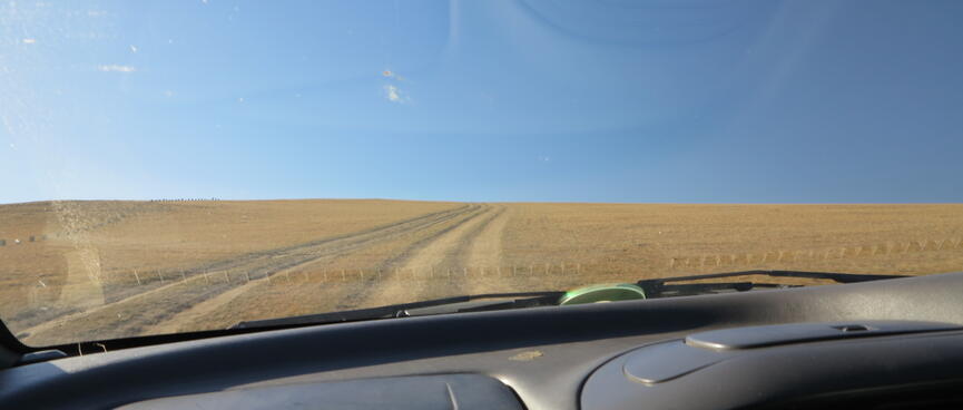 Looking out the car windshield at tracks in the grass.