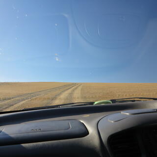 Looking out the car windshield at tracks in the grass.