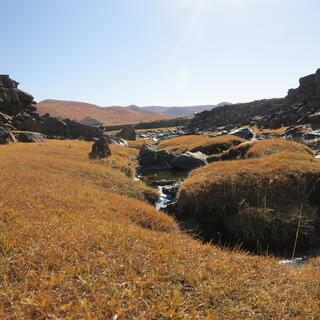 Brown grass, rocks and water on the river bed.