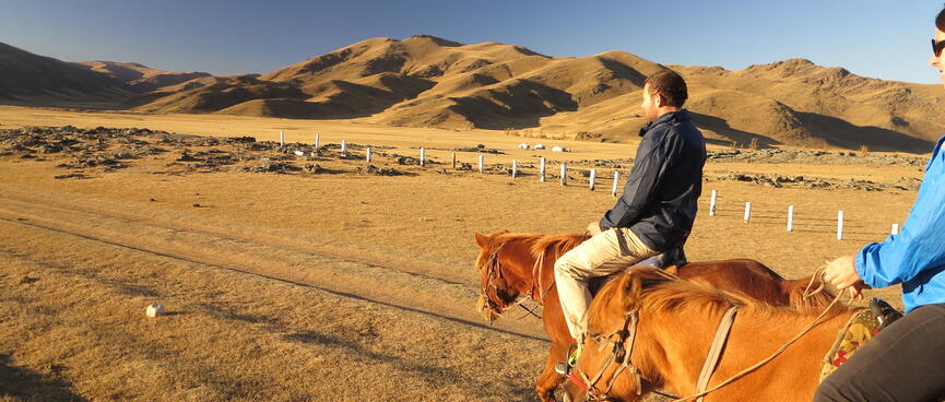 Tourists on horses in a golden landscape.