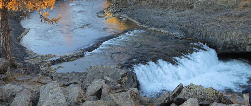 Water foams next to rocks and the yellow leaves of a tree.