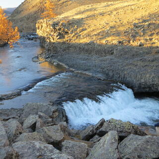 Water foams next to rocks and the yellow leaves of a tree.