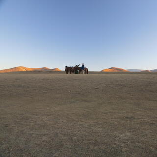Horses and their riders wait in the distance.
