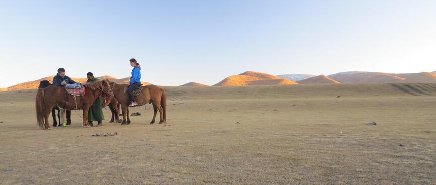 Riders adjust their horsesʼ saddles.