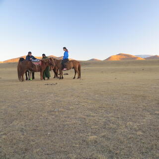 Riders adjust their horsesʼ saddles.