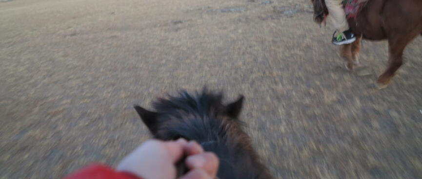 A red jacketed arm holds the reins of a moving horse.