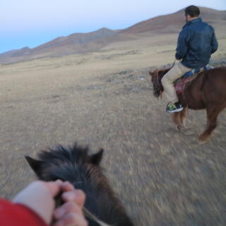 A red jacketed arm holds the reins of a moving horse.