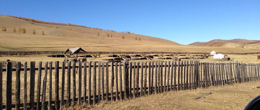 A cluster of empty wooden platforms.