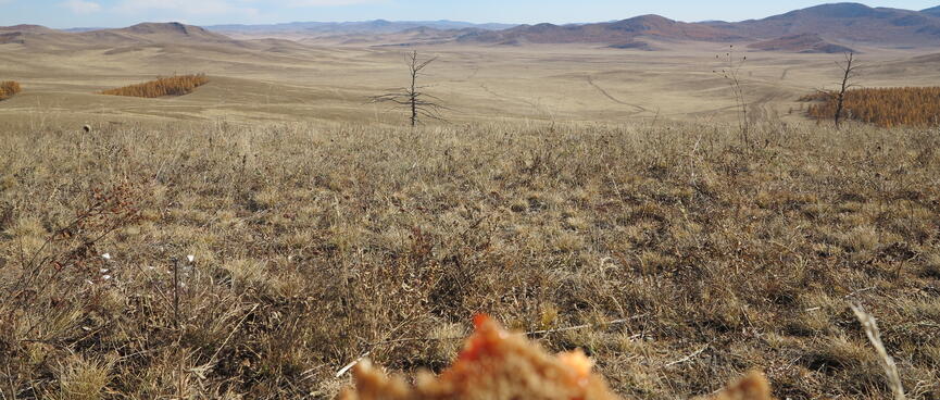 A wide open vista and a half eaten sandwich.