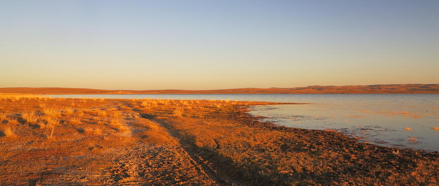 A single motorcycle track is imprinted on a sunlit sandy lake shore.
