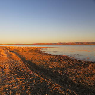 A single motorcycle track is imprinted on a sunlit sandy lake shore.