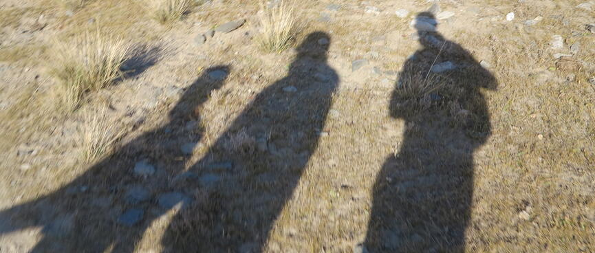 Shadows of people are cast on the grass.