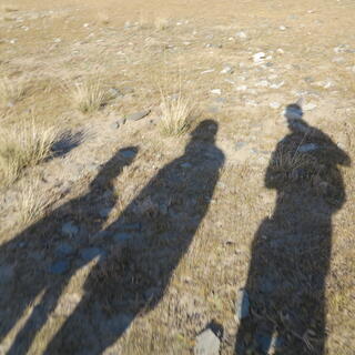 Shadows of people are cast on the grass.