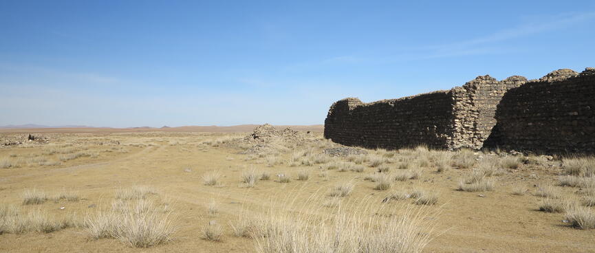 Small shrubs in the steppes outside the stone walls.