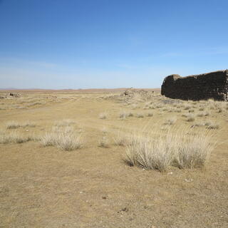 Small shrubs in the steppes outside the stone walls.