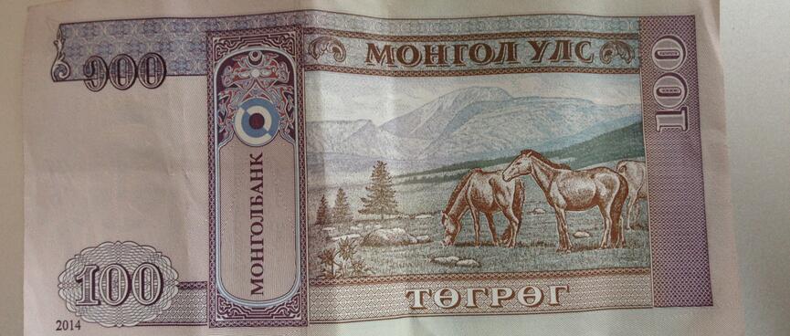 Horses eating grass, on the back of a 100 Tugrik bill.