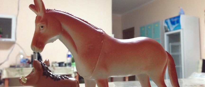 Horse and warthog figurines on the kitchen counter.