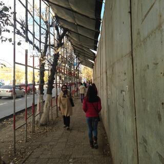Metal poles and sheets of wood support a covered pedestrian walkway.