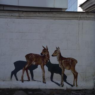 A mural showing a pair of deers and their shadows.