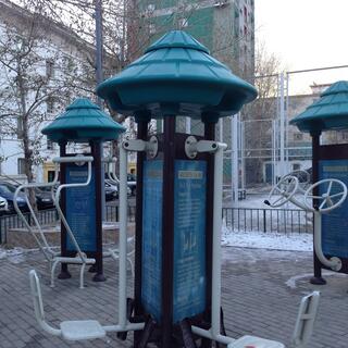 Metal bars attached to tall kiosks displaying exercise instructions.