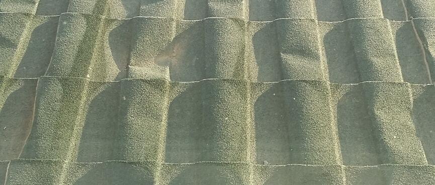 A thin white coating over a green metal roof.