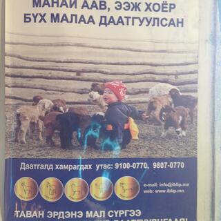 A small child sits in a wooden pen surrounded by baby goats.