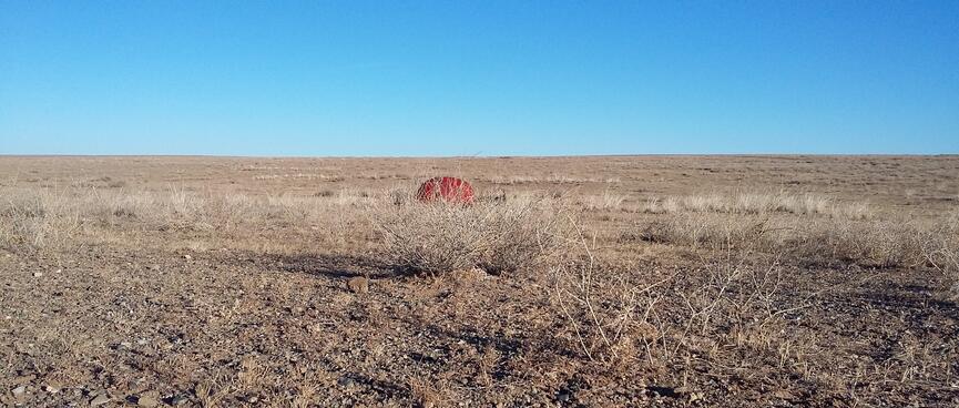 My orange tent is clearly visible behind the spindly yellow grass.