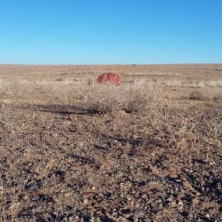 My orange tent is clearly visible behind the spindly yellow grass.