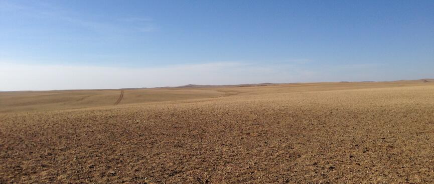 Tyre tracks through the otherwise virgin steppe.