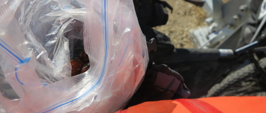 Looking down at the contents of a ziplock bag.