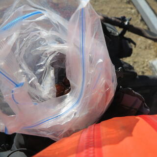 Looking down at the contents of a ziplock bag.