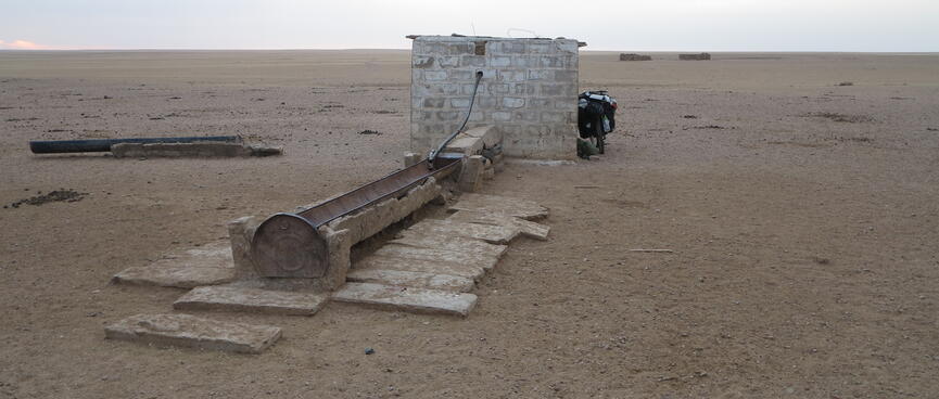 Stone tiles surround a drinking trough.