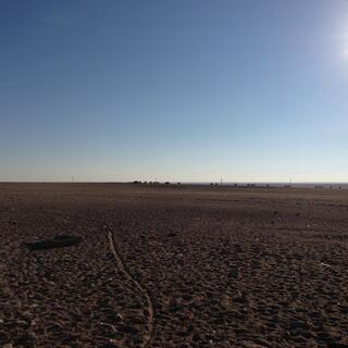 A herd of camels in the distance.