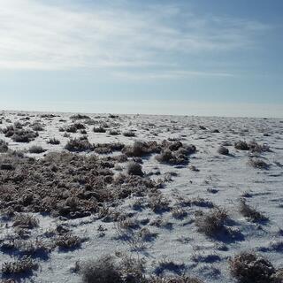 Sparkling snow under an almost cloudless sky.