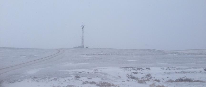 A cell tower dwarfs an adjacent building. It is held in place by long dialogonal cables. 
