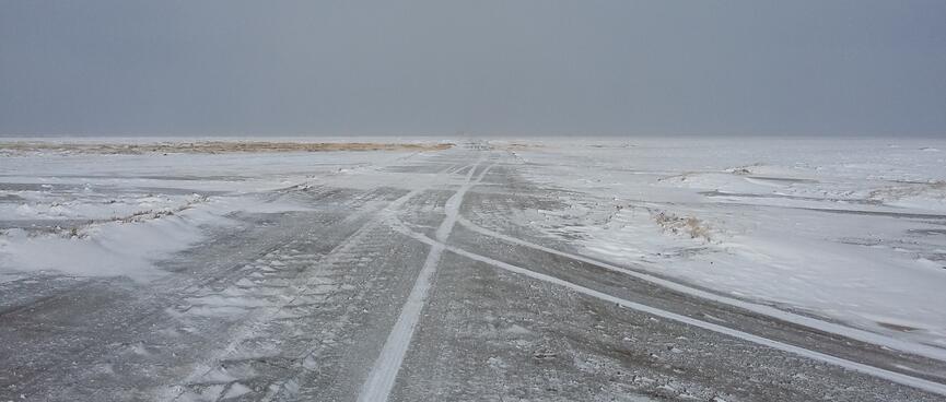 Curving white tyre tracks on a clear portion of a dirt road.