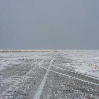 Curving white tyre tracks on a clear portion of a dirt road.