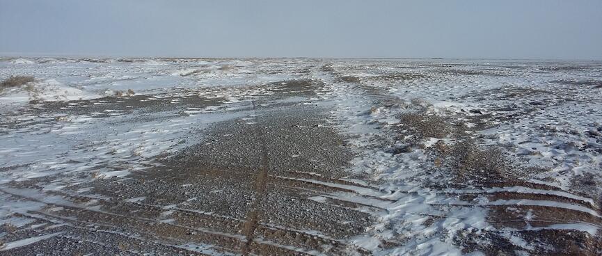 In a snowy field, a single motorcycle tyre track crosses a pair of car tyre tracks.