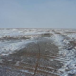 In a snowy field, a single motorcycle tyre track crosses a pair of car tyre tracks.