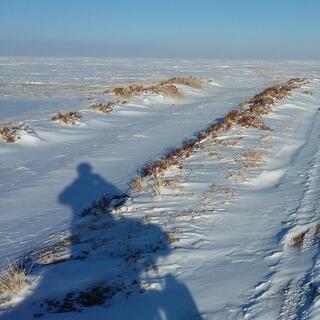 Deep snow lies in the gullies of a four wheel drive track. Fresh tyre tracks on the tops reveal the sand below.