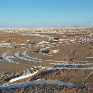 White tyre tracks on the brown earth.